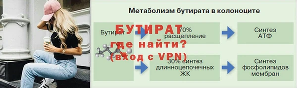 сатива Вяземский