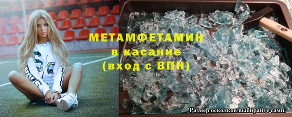 сатива Вяземский