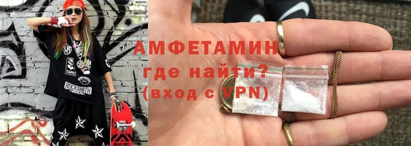 сатива Вяземский