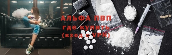 сатива Вяземский